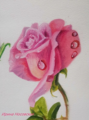 Рисунки учеников с курса Розы маслом